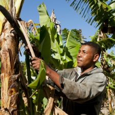 Agrocrédito contra la pobreza rural