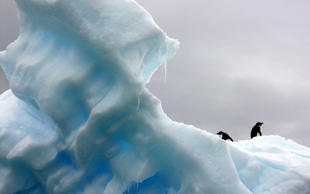 COP25: Chile pide compromisos “exigibles” para combatir el cambio climático