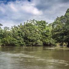 Colombia y Ecuador se unen para conservar ecosistemas compartidos