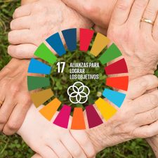 Alianzas: decisivas para lograr un desarrollo sostenible