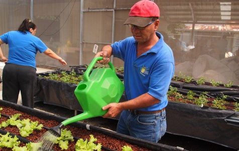 Señor regando plantas