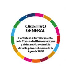 El dato: ¿cuáles son los ejes de la cooperación iberoamericana?