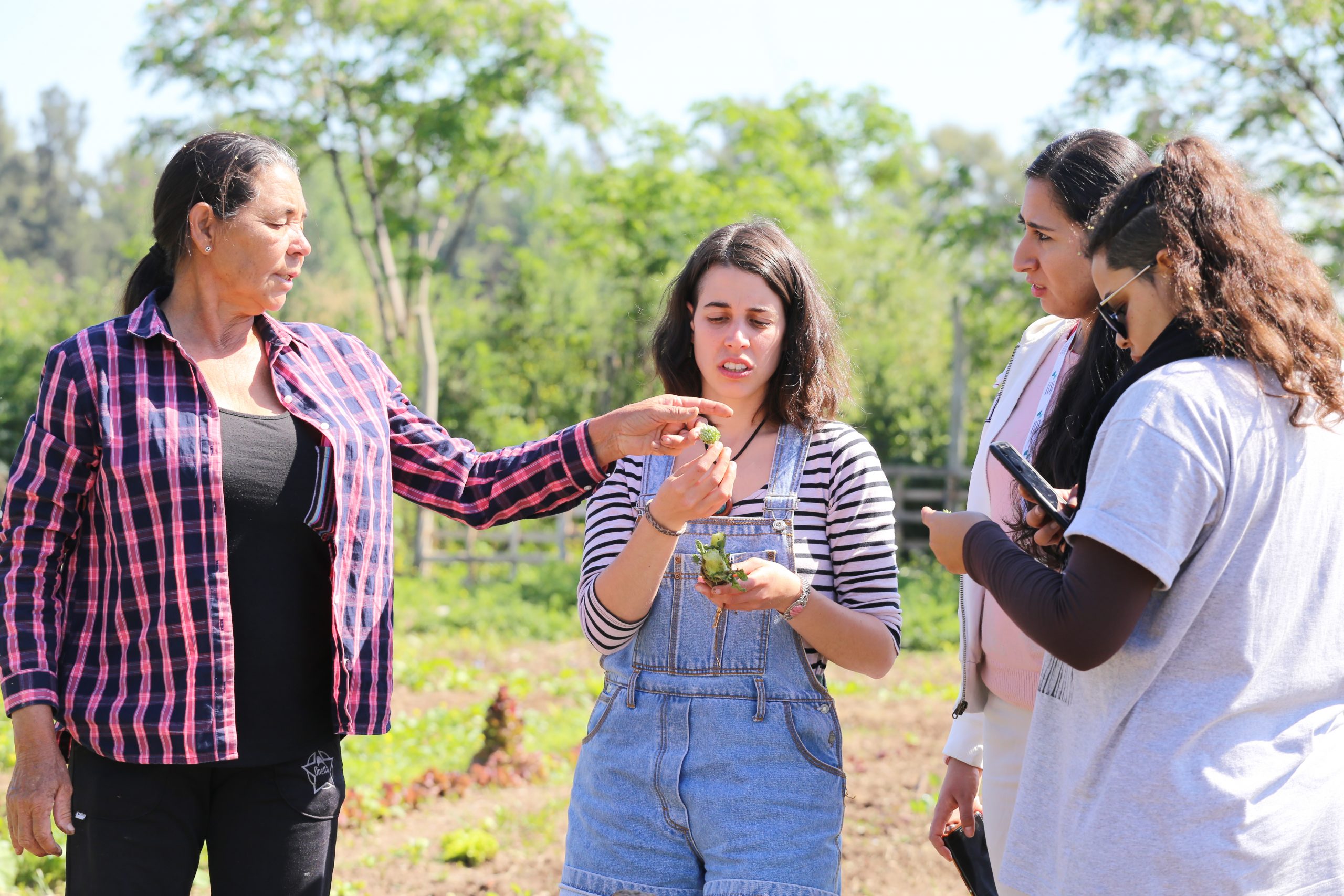 Mujeres innovadoras