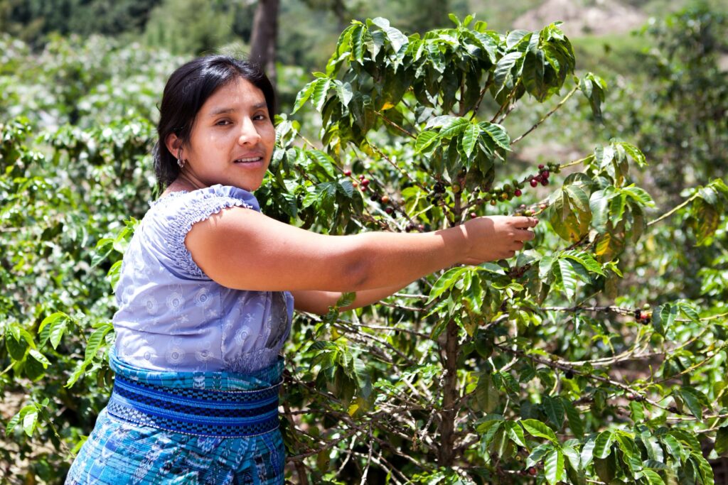 Mulheres rurais: resgatar seu papel chave na agricultura e eliminar desigualdades
