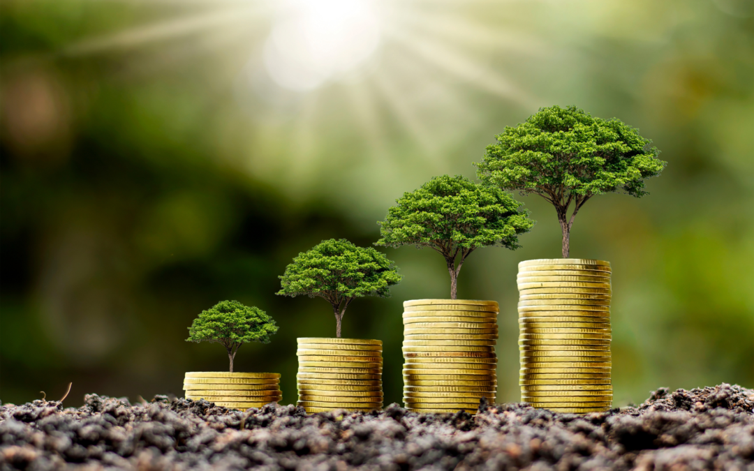 Inversiones y economía verde, claves para una recuperación sostenible