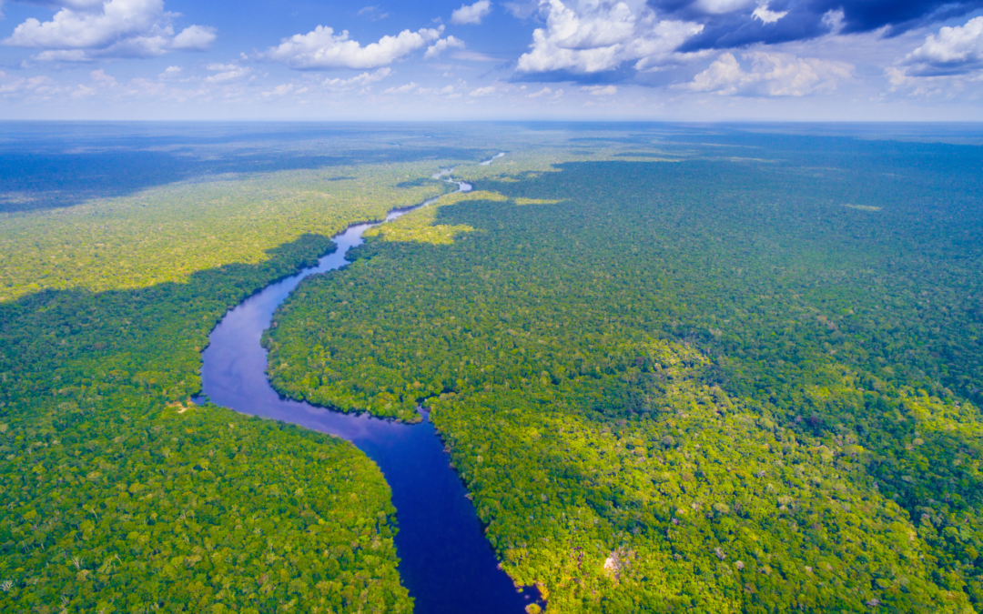 ¿Cómo será la nueva política medioambiental de Brasil?